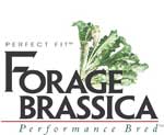 Forage-Brassica150px.jpg