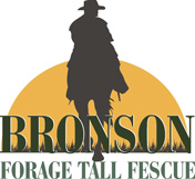 Bronson-Logo-new176px.jpg