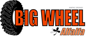 BigWheel-300px.jpg