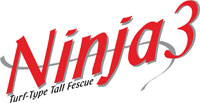 Ninja 3 Logo